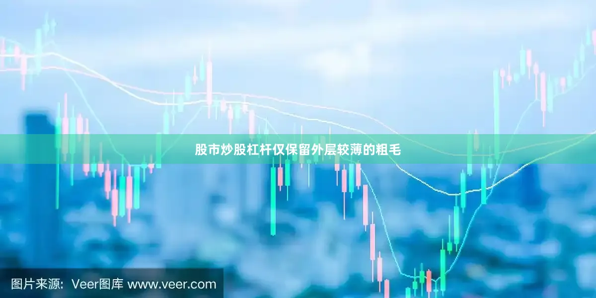 股市炒股杠杆仅保留外层较薄的粗毛