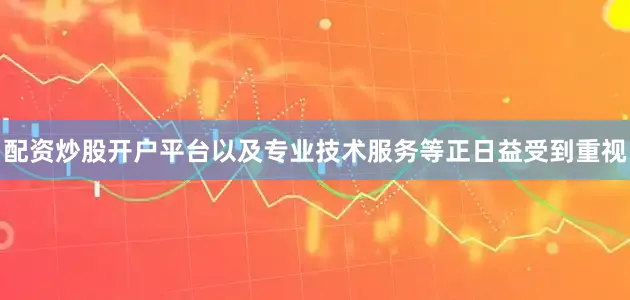 配资炒股开户平台以及专业技术服务等正日益受到重视